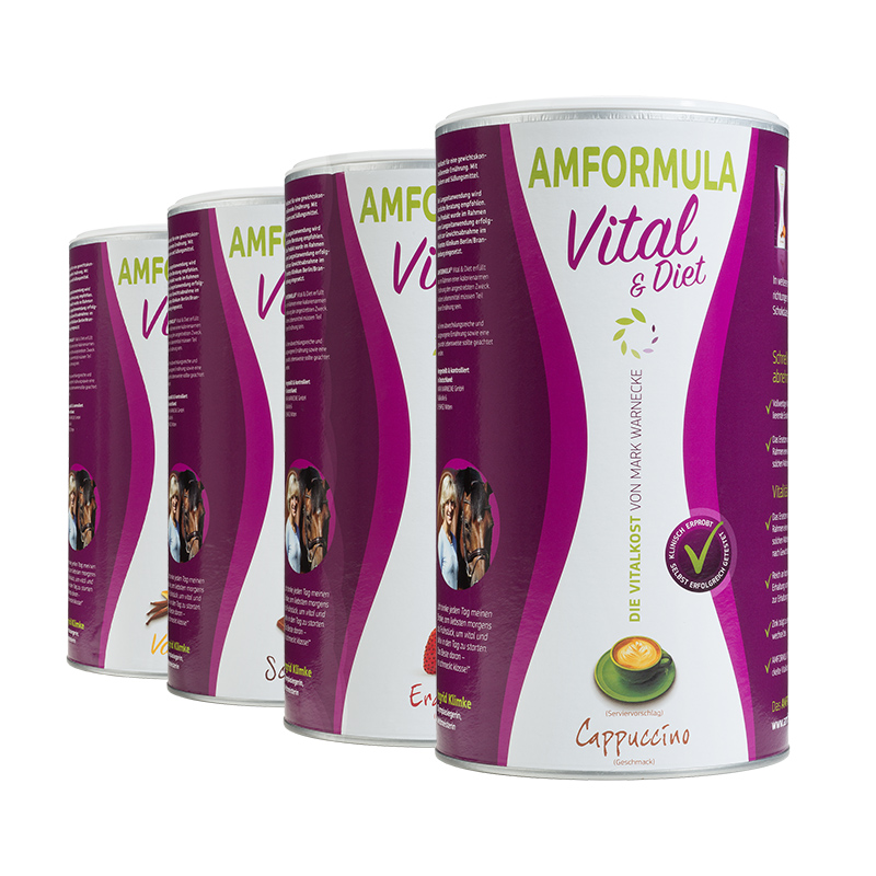 AMFORMULA DIET 490 g 
